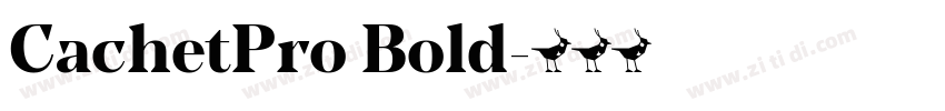CachetPro Bold字体转换